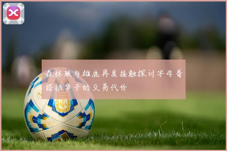 森林狼与雄鹿再度接触探讨字母哥搭档华子的交易代价