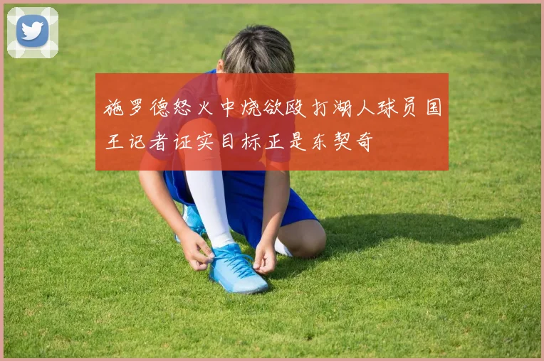 施罗德怒火中烧欲殴打湖人球员国王记者证实目标正是东契奇