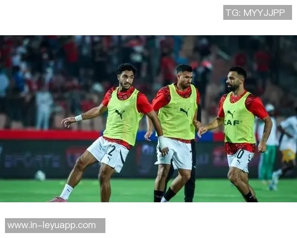 埃及队公布非洲杯初选名单萨拉赫与马尔穆什领衔出征